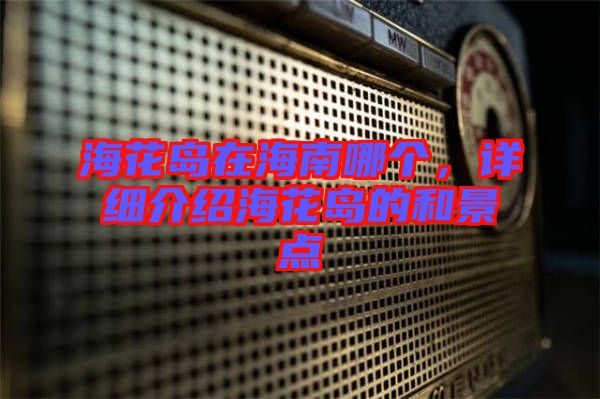 海花島在海南哪個(gè)，詳細(xì)介紹?；◢u的和景點(diǎn)