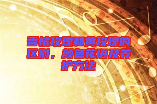 香檳玫瑰和黃玫瑰的區(qū)別，顏色花語及養(yǎng)護方法