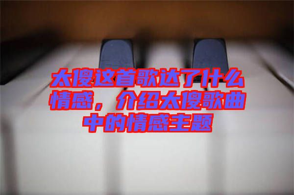 太傻這首歌達(dá)了什么情感，介紹太傻歌曲中的情感主題