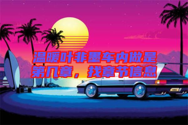 溫暖葉非墨車內(nèi)做是第幾章，找章節(jié)信息