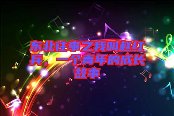 東北往事之我叫趙紅兵，一個(gè)青年的成長故事