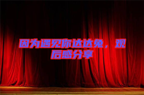 因?yàn)橛鲆娔氵_(dá)達(dá)兔，觀后感分享