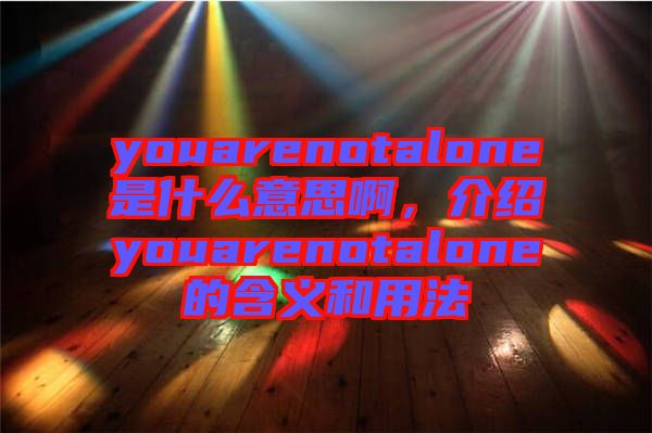 youarenotalone是什么意思啊，介紹youarenotalone的含義和用法
