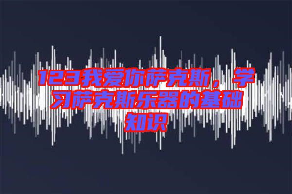 123我愛你薩克斯，學(xué)習(xí)薩克斯樂器的基礎(chǔ)知識(shí)