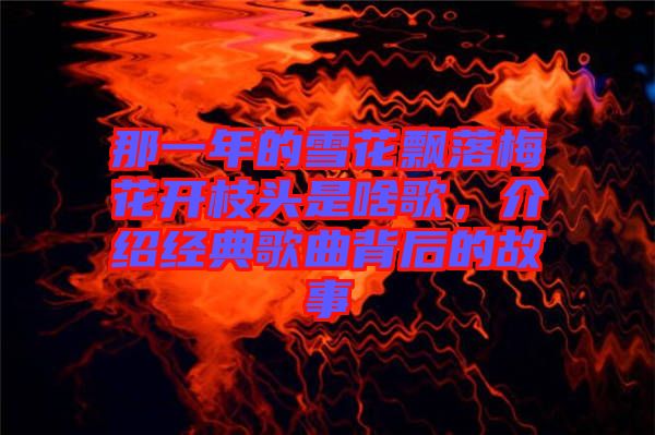 那一年的雪花飄落梅花開枝頭是啥歌，介紹經(jīng)典歌曲背后的故事