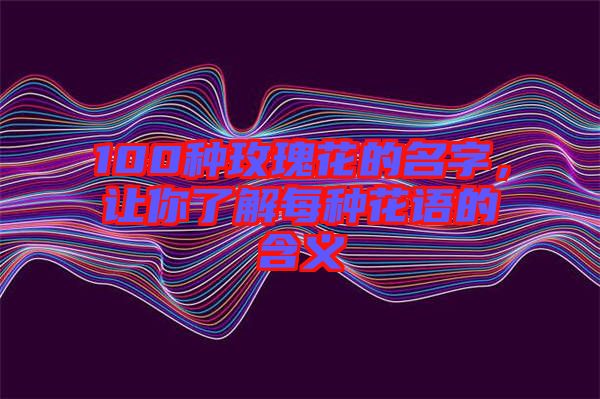 100種玫瑰花的名字，讓你了解每種花語的含義