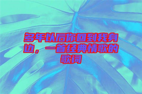 多年以后你回到我身邊，一首經(jīng)典情歌的歌詞