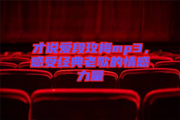 才說愛段玫梅mp3，感受經(jīng)典老歌的情感力量