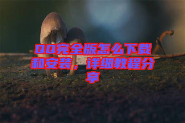 QQ完全版怎么下載和安裝，詳細(xì)教程分享