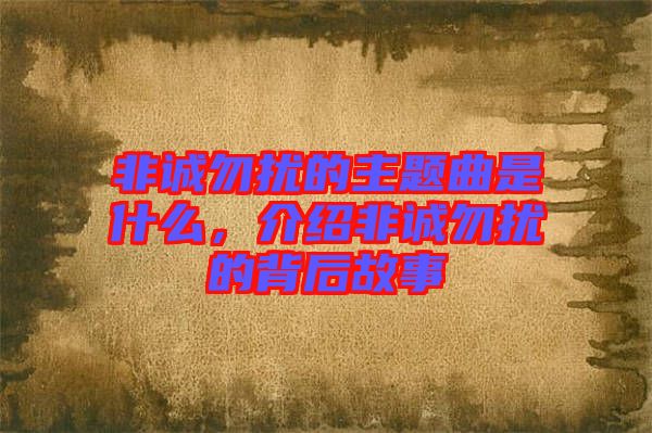 非誠勿擾的主題曲是什么，介紹非誠勿擾的背后故事