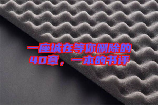 一座城在等你刪除的40章，一本的書(shū)評(píng)