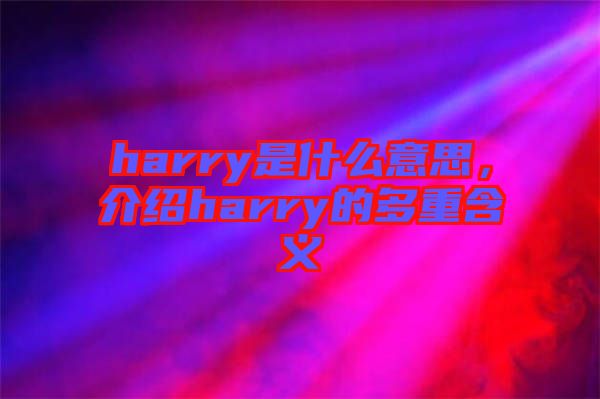 harry是什么意思，介紹harry的多重含義