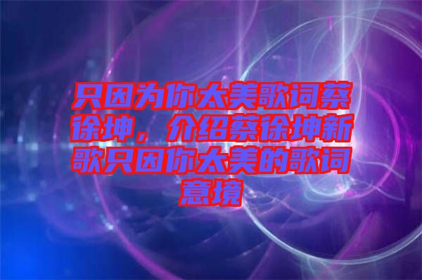 只因為你太美歌詞蔡徐坤，介紹蔡徐坤新歌只因你太美的歌詞意境