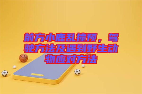 前方小鹿亂撞預(yù)，駕駛方法及遇到野生動(dòng)物應(yīng)對(duì)方法