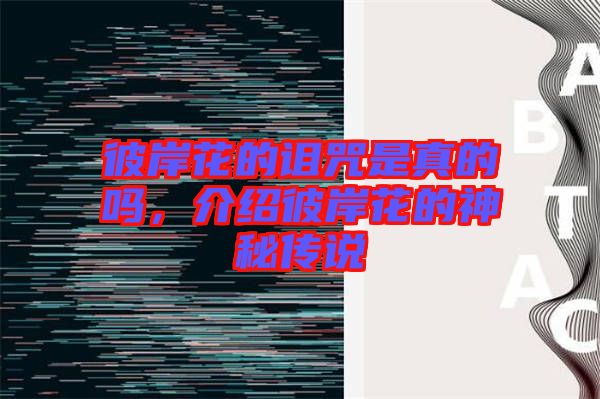 彼岸花的詛咒是真的嗎，介紹彼岸花的神秘傳說