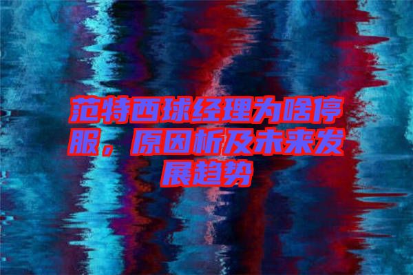 范特西球經(jīng)理為啥停服，原因析及未來發(fā)展趨勢(shì)