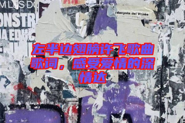 左半邊翅膀許飛歌曲歌詞，感受愛(ài)情的深情達(dá)