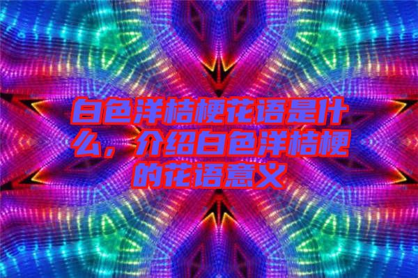 白色洋桔?；ㄕZ是什么，介紹白色洋桔梗的花語意義