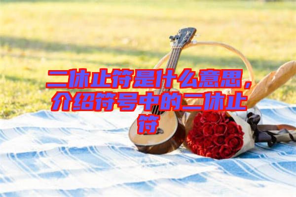 二休止符是什么意思，介紹符號中的二休止符
