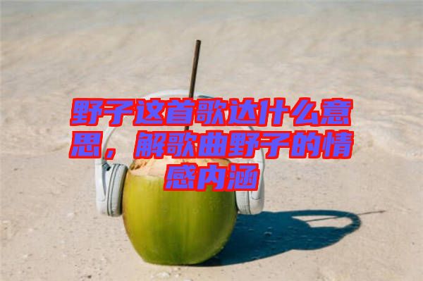 野子這首歌達什么意思，解歌曲野子的情感內涵