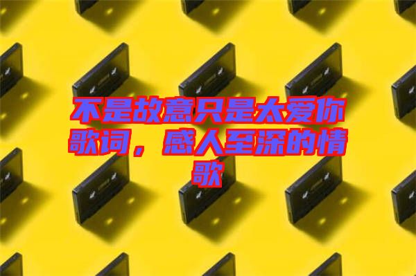 不是故意只是太愛(ài)你歌詞，感人至深的情歌