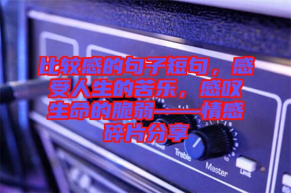 比較感的句子短句，感受人生的苦樂，感嘆生命的脆弱——情感碎片分享