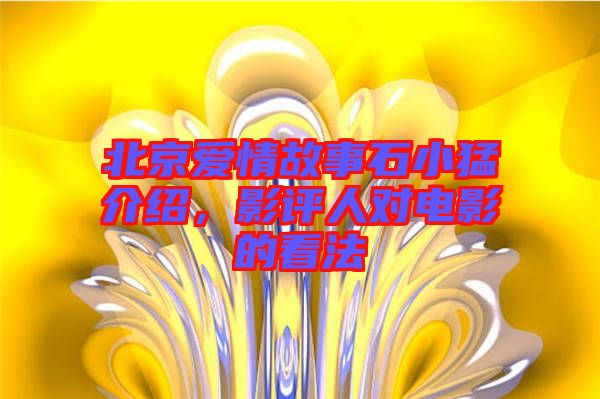 北京愛情故事石小猛介紹，影評人對電影的看法