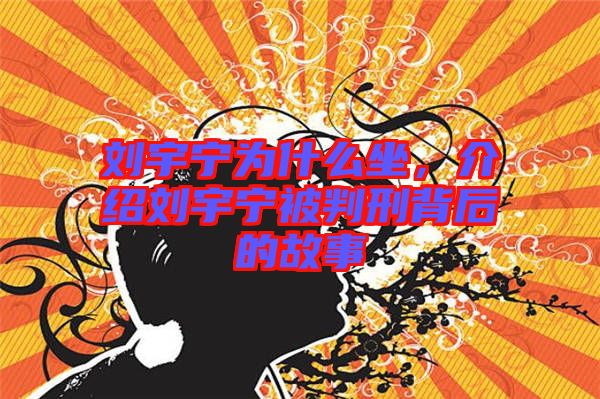劉宇寧為什么坐，介紹劉宇寧被判刑背后的故事