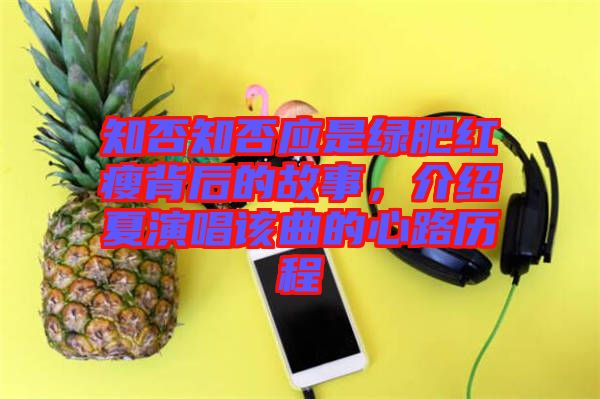 知否知否應(yīng)是綠肥紅瘦背后的故事，介紹夏演唱該曲的心路歷程