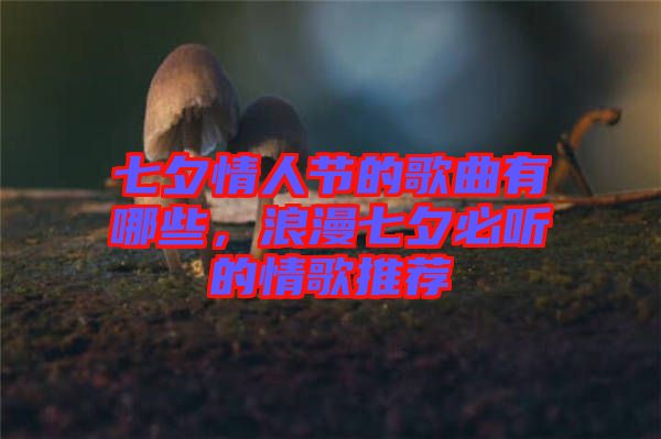 七夕情人節(jié)的歌曲有哪些，浪漫七夕必聽的情歌推薦