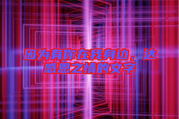 因為有你在我身邊，達感恩之情的文字