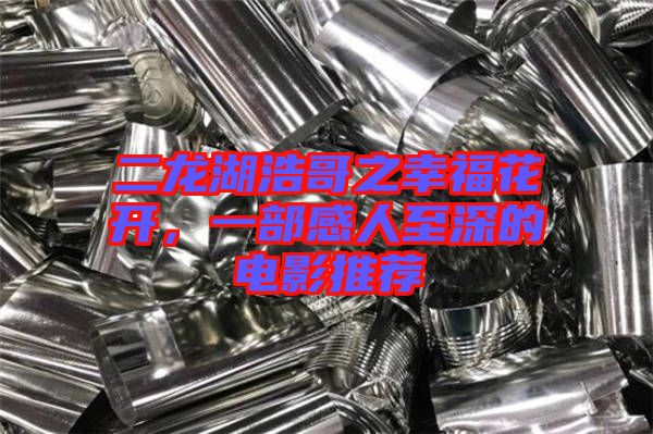 二龍湖浩哥之幸?；ㄩ_(kāi)，一部感人至深的電影推薦