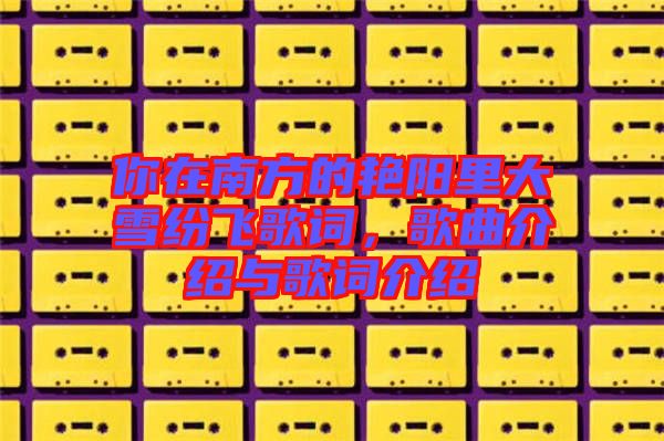 你在南方的艷陽里大雪紛飛歌詞，歌曲介紹與歌詞介紹
