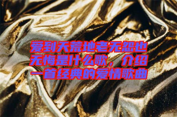 愛(ài)到天荒地老無(wú)怨也無(wú)悔是什么歌，介紹一首經(jīng)典的愛(ài)情歌曲