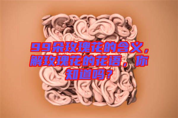 99朵玫瑰花的含義，解玫瑰花的花語，你知道嗎？