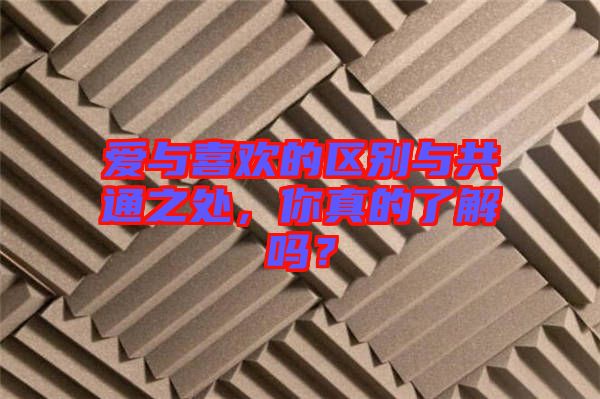 愛與喜歡的區(qū)別與共通之處，你真的了解嗎？