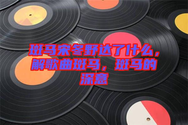 斑馬宋冬野達(dá)了什么，解歌曲斑馬，斑馬的深意