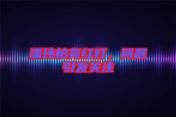 潘瑋柏亮紅燈，問題引發(fā)關注