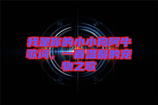 我是你的小小狗阿牛歌詞，一首溫馨的寵物之歌