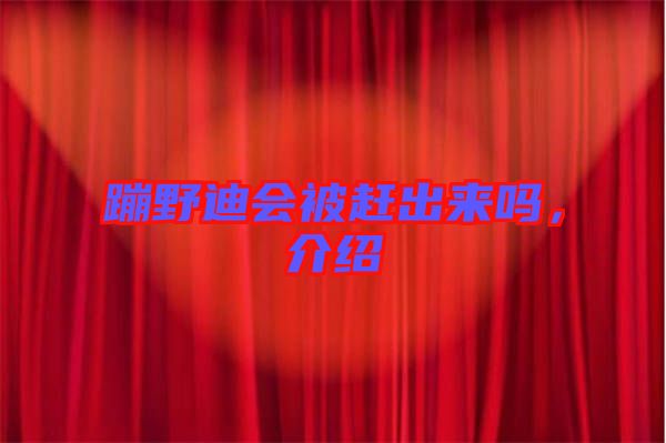 蹦野迪會被趕出來嗎，介紹