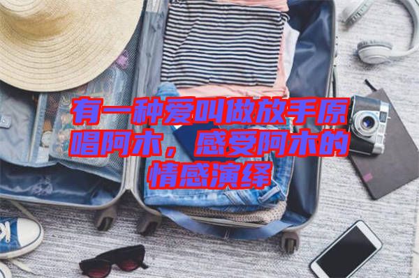 有一種愛叫做放手原唱阿木，感受阿木的情感演繹