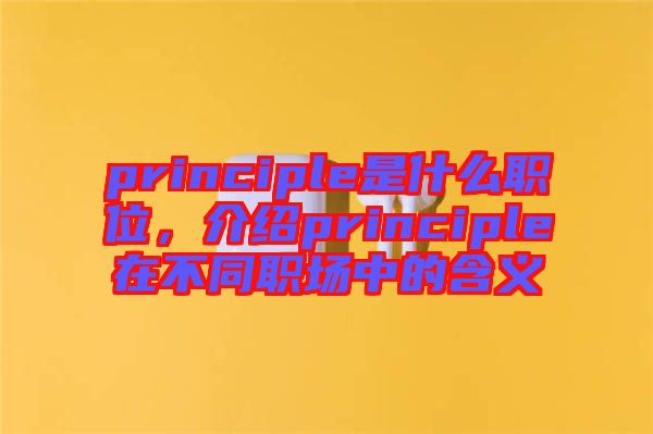 principle是什么職位，介紹principle在不同職場中的含義