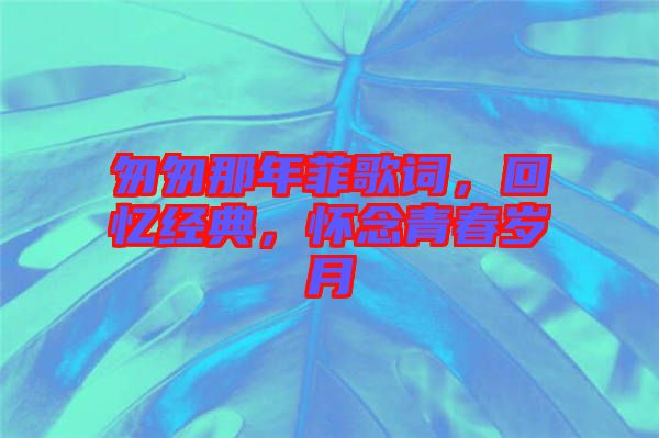 匆匆那年菲歌詞，回憶經(jīng)典，懷念青春歲月