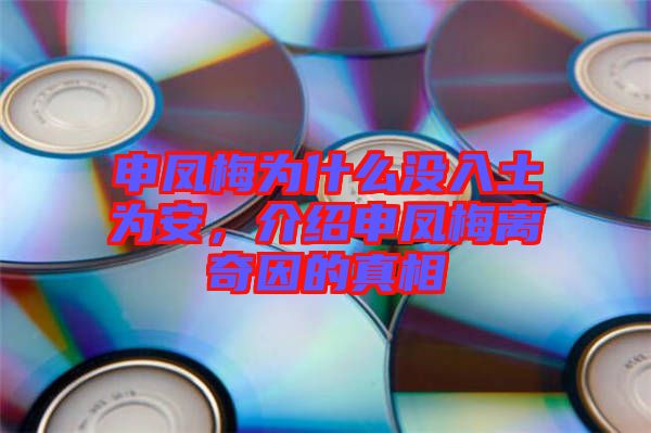 申鳳梅為什么沒入土為安，介紹申鳳梅離奇因的真相