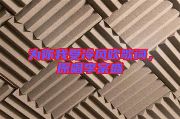 為你我受冷風(fēng)吹歌詞，原唱李宗盛