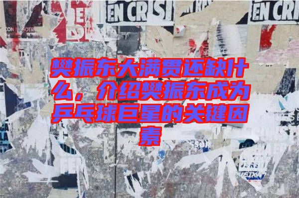 樊振東大滿貫還缺什么，介紹樊振東成為乒乓球巨星的關(guān)鍵因素