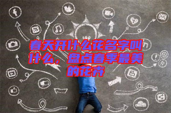 春天開什么花名字叫什么，盤點春季最美的花卉