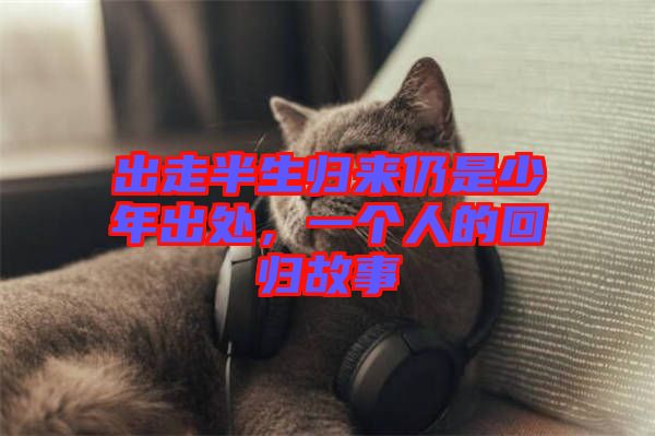出走半生歸來仍是少年出處，一個人的回歸故事