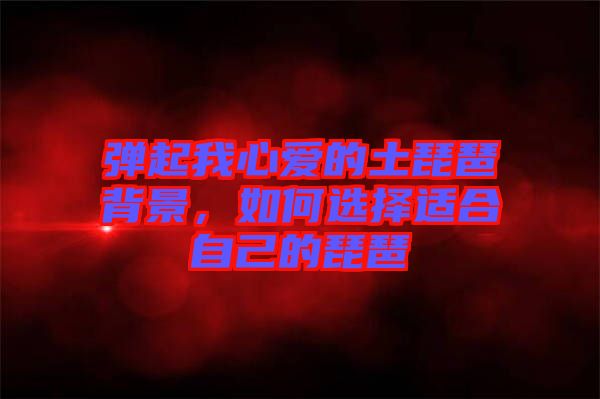 彈起我心愛的土琵琶背景，如何選擇適合自己的琵琶