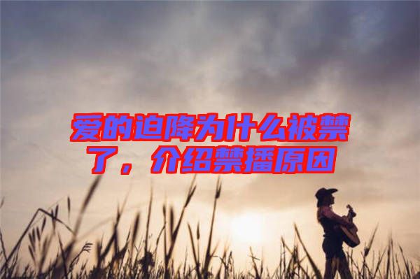 愛的迫降為什么被禁了，介紹禁播原因